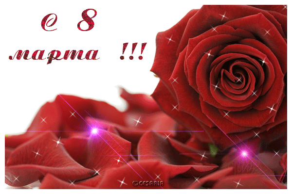 8marta_90_copy