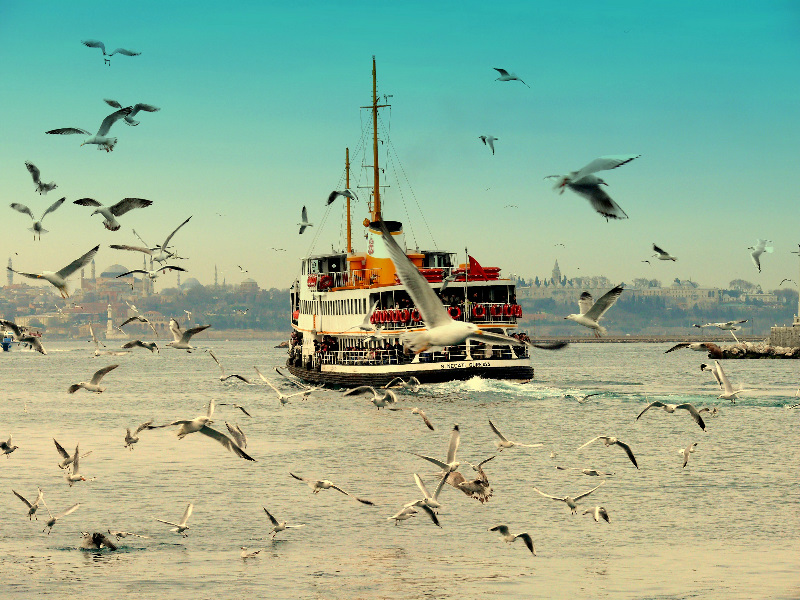 istanbulkuslar