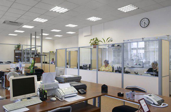ofis556