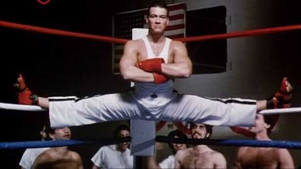 vandamme2